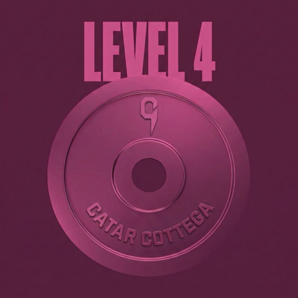 Level IV